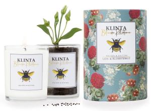 Botaniska Ljus - Doftljus & blomsterfrön (Hallon & Kvitten) - Klinta
