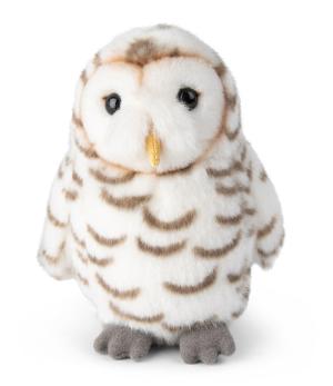 Snöuggla - WWF (Världsnaturfonden)