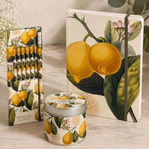 Presentset Citron (Anteckningsbok